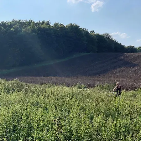 Ferienzimmer Suhrer Seeblick Séjour chez l'habitant Plön