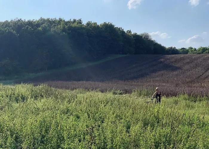 Ferienzimmer Suhrer Seeblick Privat bolig Plön