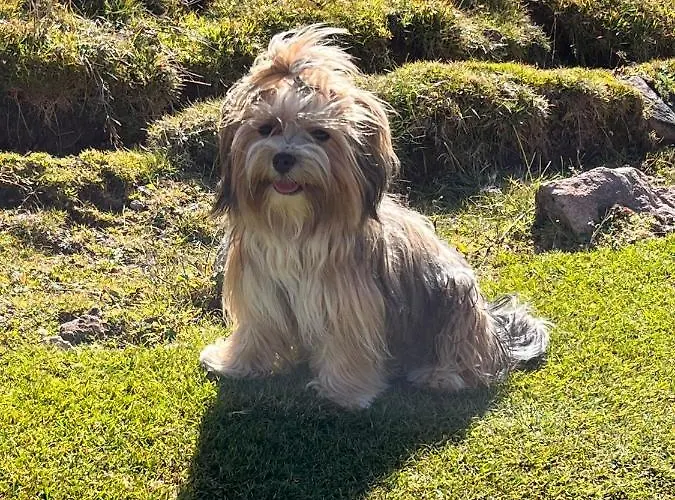 Ferienzimmer Suhrer Seeblick * Plön